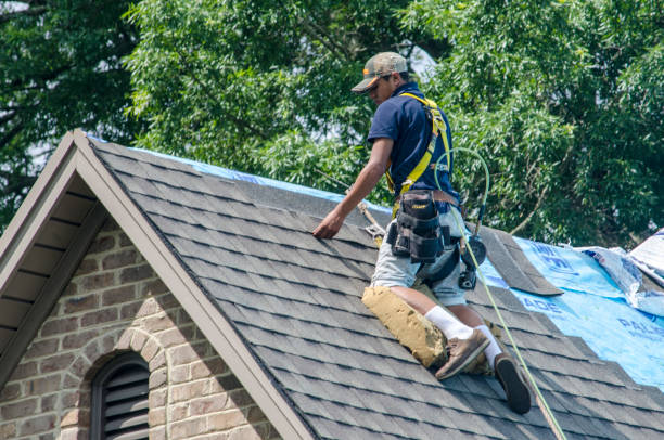 Best Roof Maintenance Services  in Coats, NC